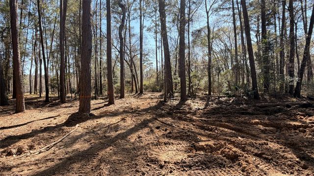 0 Michael Drive, Magnolia, TX 77355