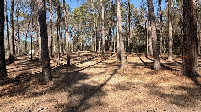 0 Michael Drive, Magnolia, TX 77355