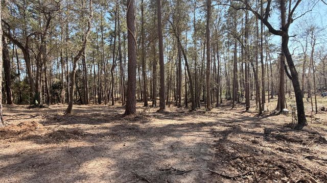 0 Michael Drive, Magnolia, TX 77355