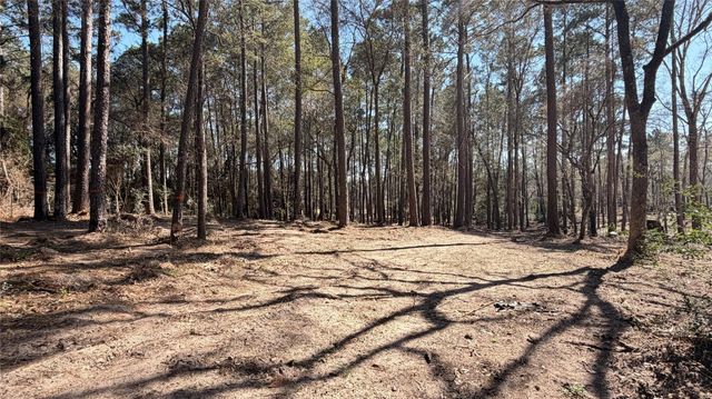 0 Michael Drive, Magnolia, TX 77355