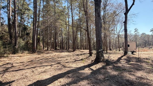 0 Michael Drive, Magnolia, TX 77355