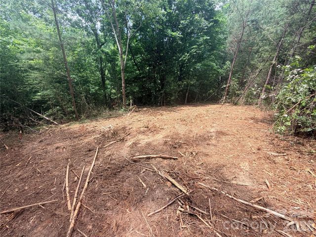 0 Gold Creek Point 4, Union Mills, NC 28167