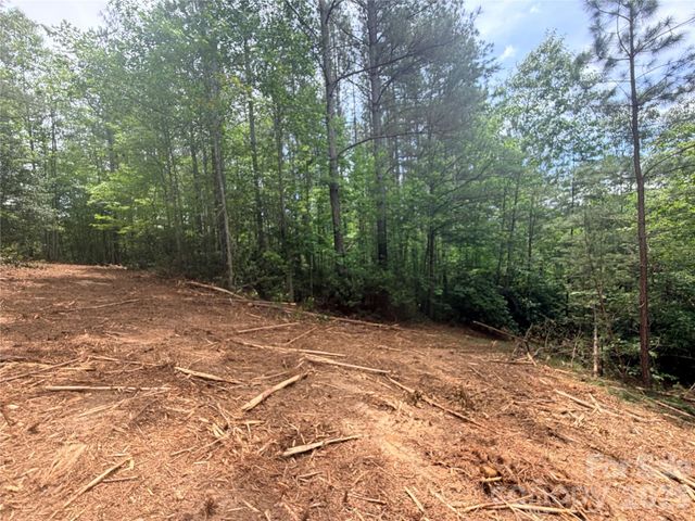 0 Gold Creek Point 4, Union Mills, NC 28167