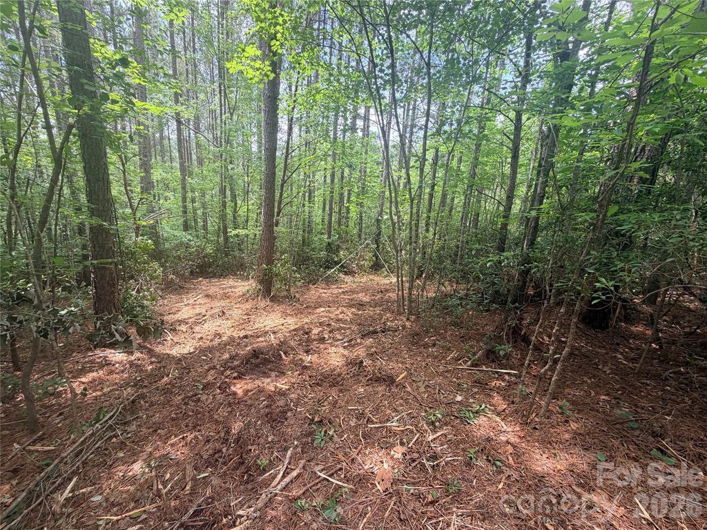 0 Gold Creek Point 4, Union Mills, NC 28167