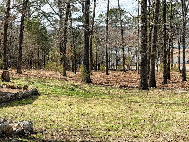 903 Arkansas Avenue, Horseshoe Bend, AR 72512