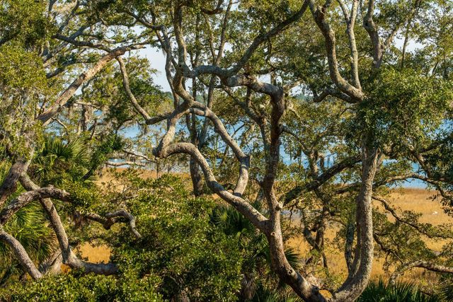 118 Fairbanks Oak Alley 3b, Charleston, SC 29492