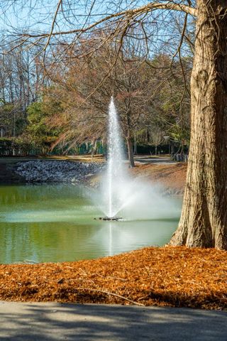 118 Fairbanks Oak Alley 3b, Charleston, SC 29492