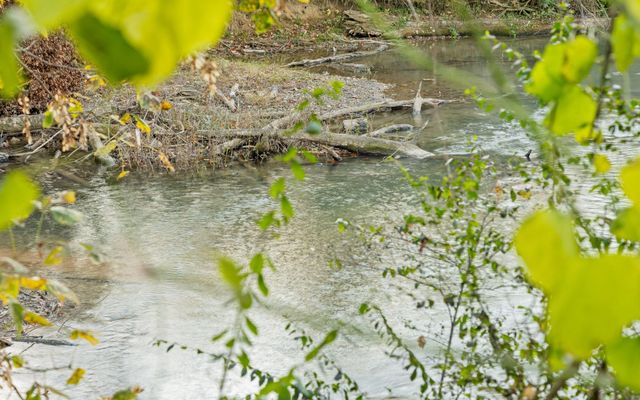 661 Jill Lane, Chickamauga, GA 30707