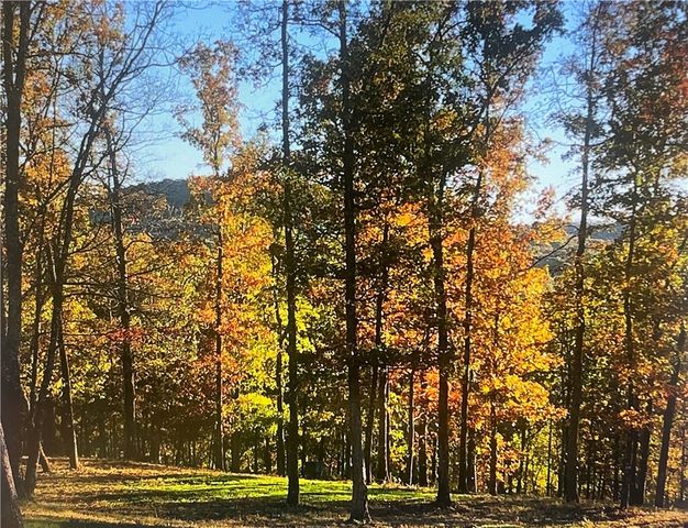 553 Madison 6615, Huntsville, AR 72740