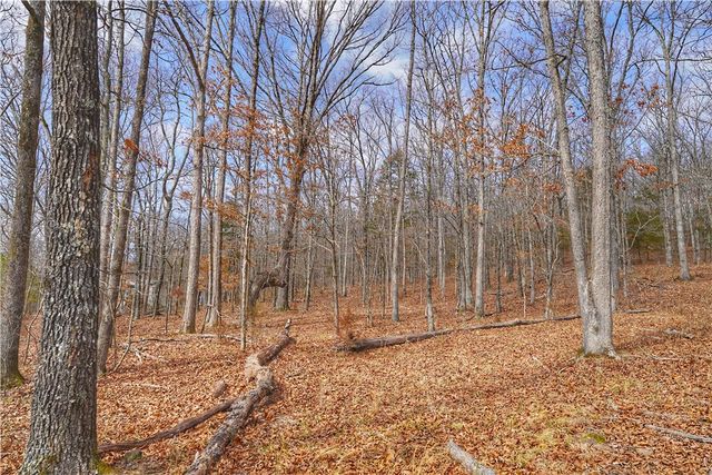 553 Madison 6615, Huntsville, AR 72740