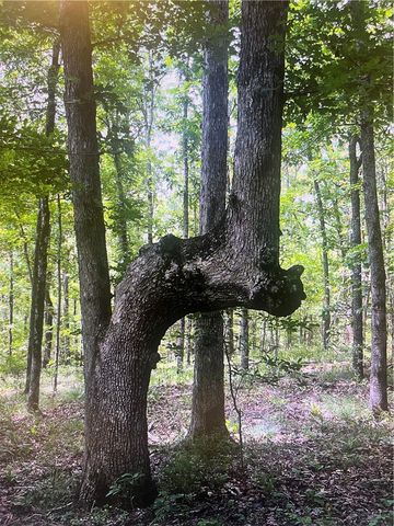 553 Madison 6615, Huntsville, AR 72740