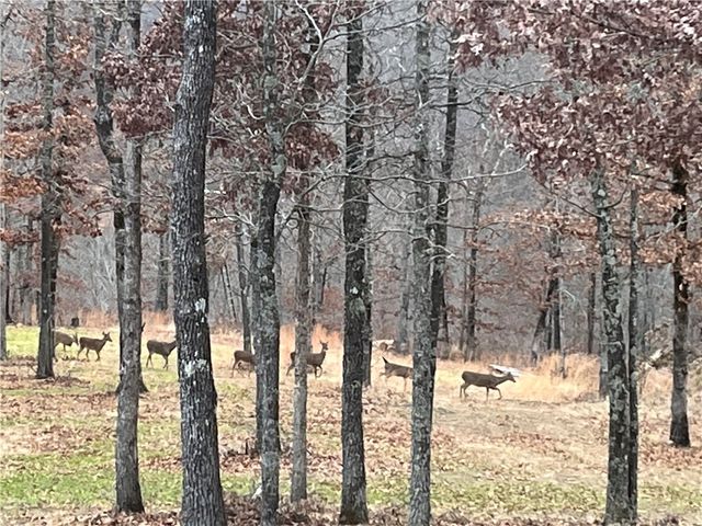 553 Madison 6615, Huntsville, AR 72740