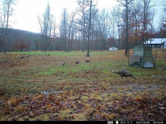 553 Madison 6615, Huntsville, AR 72740