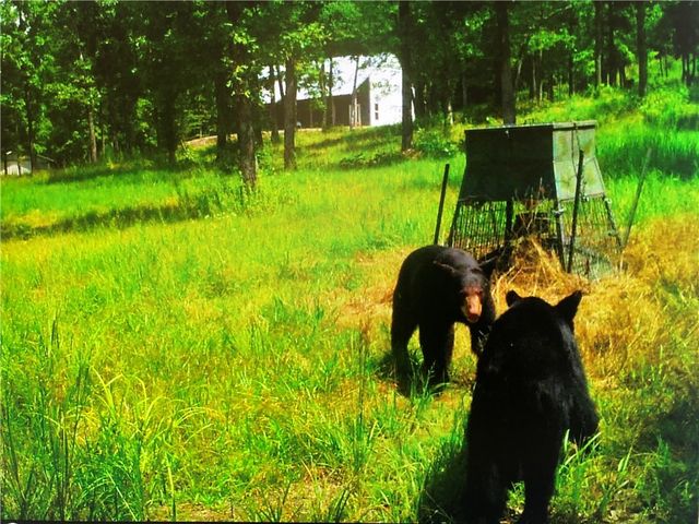 553 Madison 6615, Huntsville, AR 72740