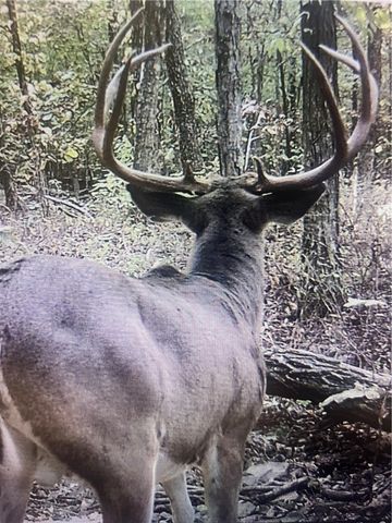 553 Madison 6615, Huntsville, AR 72740