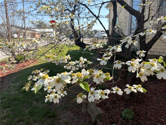 108 S Springfield Street, Berryville, AR 72616