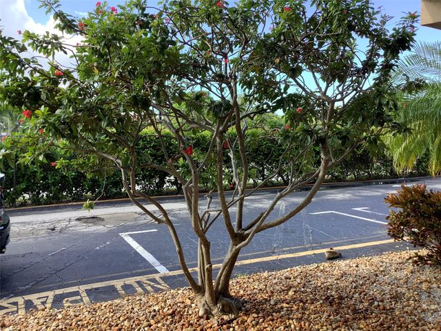 2300 NE 1st Ln 107, Boynton Beach, FL 33435