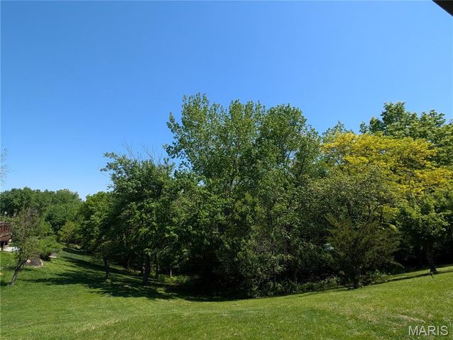 1029 Villa Gran Way, Fenton, MO 63026