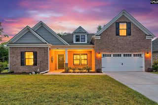 186 Collins Cove Drive, Chapin, SC 29036