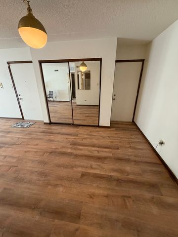 18245 Burnham Avenue 5, Lansing, IL 60438
