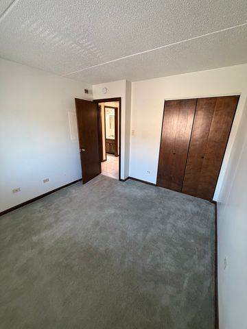 18245 Burnham Avenue 5, Lansing, IL 60438