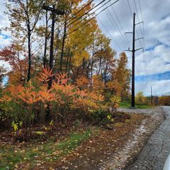 0 Ashuelot Drive, Tilton, NH 03276