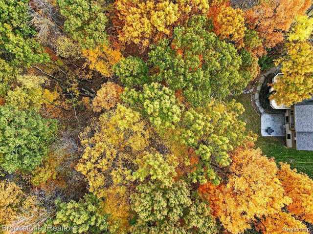 9748 Forest Ridge Drive, Springfield Charter Township, MI 48348