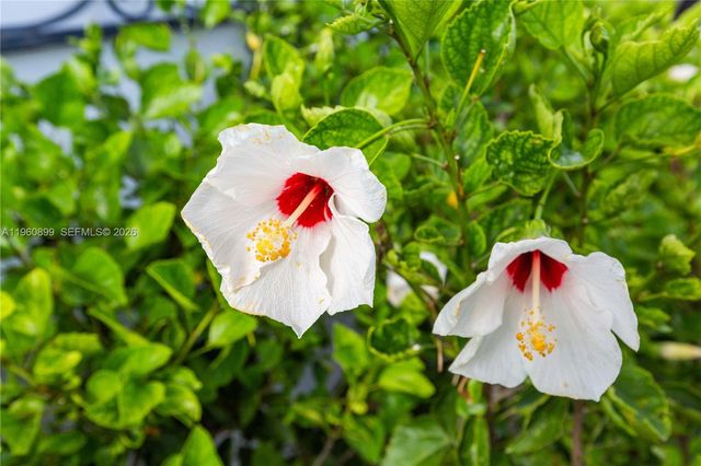 8461 SW 33rd Ter, Miami, FL 33155