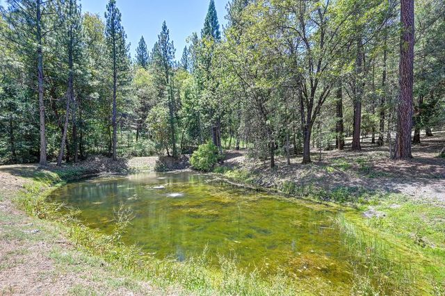 4460 Nishinam Trl, Garden Valley, CA 95633
