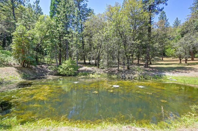 4460 Nishinam Trl, Garden Valley, CA 95633