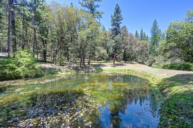 4460 Nishinam Trl, Garden Valley, CA 95633