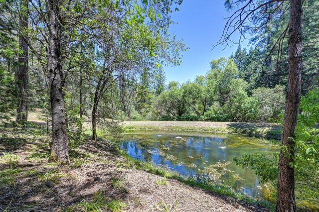 4460 Nishinam Trl, Garden Valley, CA 95633