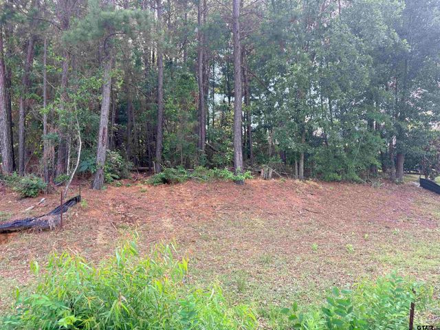 7545 NORTHLAKE, Tyler, TX 75703