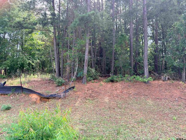 7545 NORTHLAKE, Tyler, TX 75703