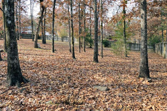 9 Vail, Maumelle, AR 72113