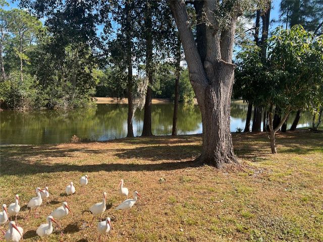 3721 PICKWICK DRIVE, Orlando, FL 32817