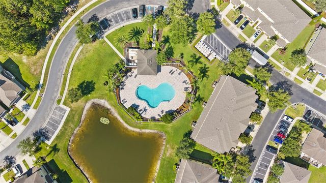 20414 BERRYWOOD LANE, Tampa, FL 33647