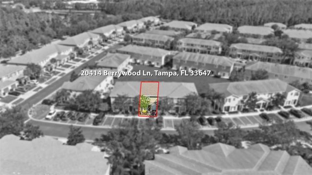 20414 BERRYWOOD LANE, Tampa, FL 33647