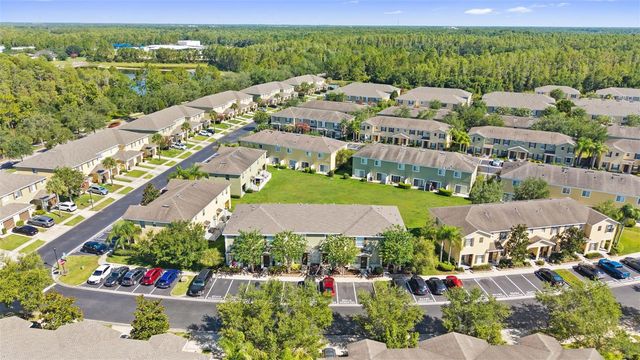 20414 BERRYWOOD LANE, Tampa, FL 33647