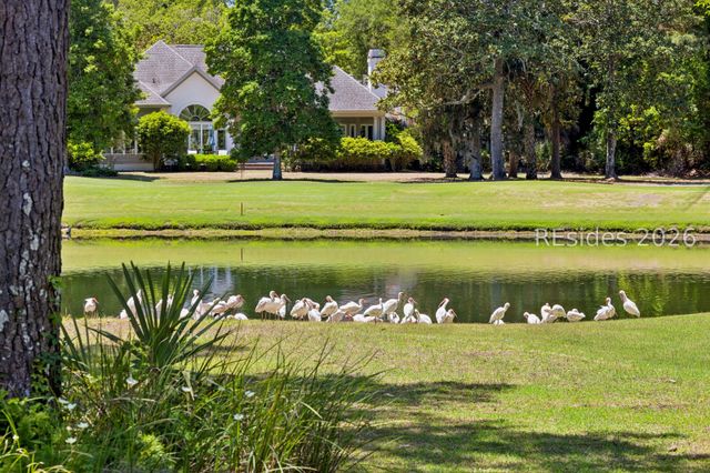16 Whitehall Dr, Bluffton, SC 29910