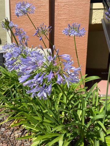 1909 SUMMER CLUB DRIVE 211, Oviedo, FL 32765