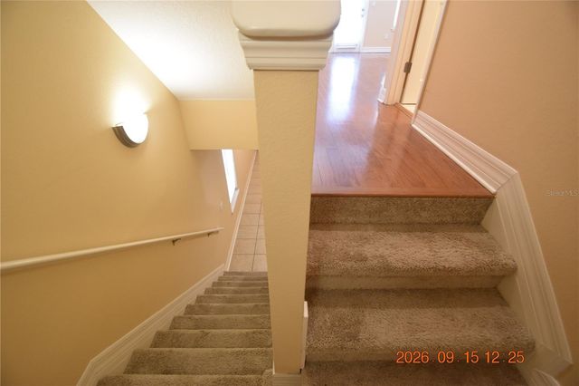 4525 BAY SPRING COURT 4525, Tampa, FL 33611