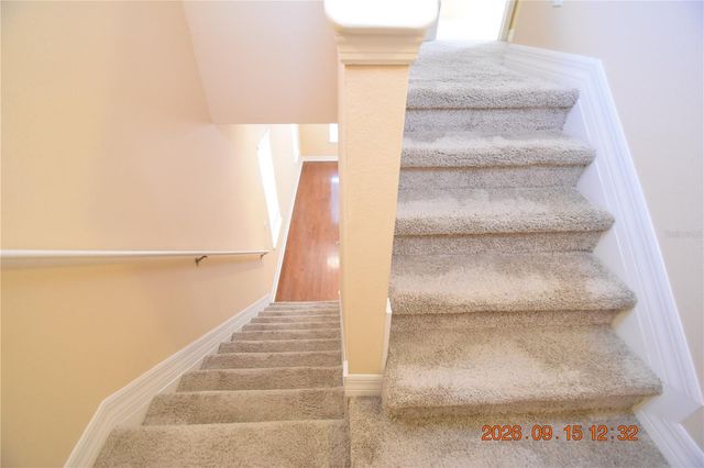 4525 BAY SPRING COURT 4525, Tampa, FL 33611