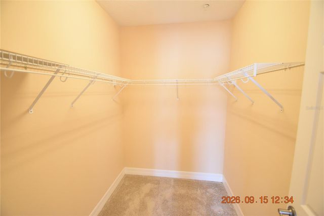 4525 BAY SPRING COURT 4525, Tampa, FL 33611