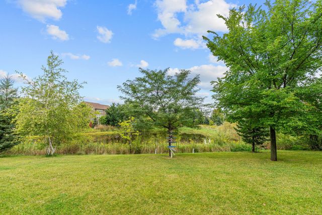 3006 Wild Flower Trail, Medina, MN 55340