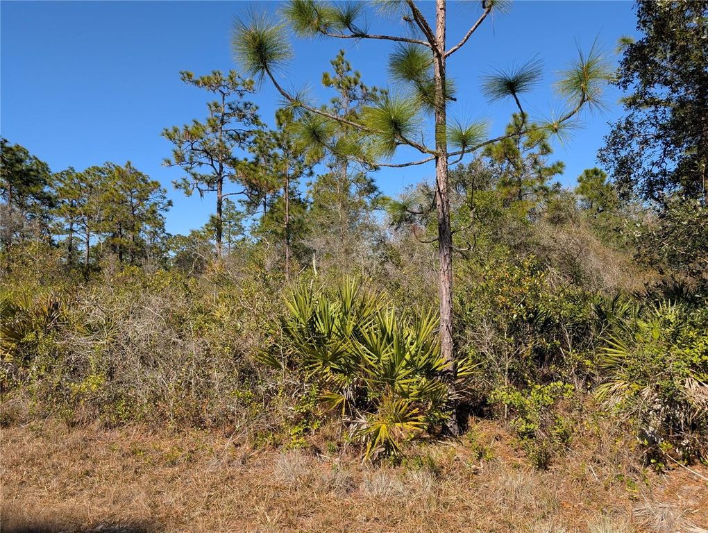 Image 1 of property listing at 612 MAGNOLIA DRIVE, Indian Lake Estates, FL 33855