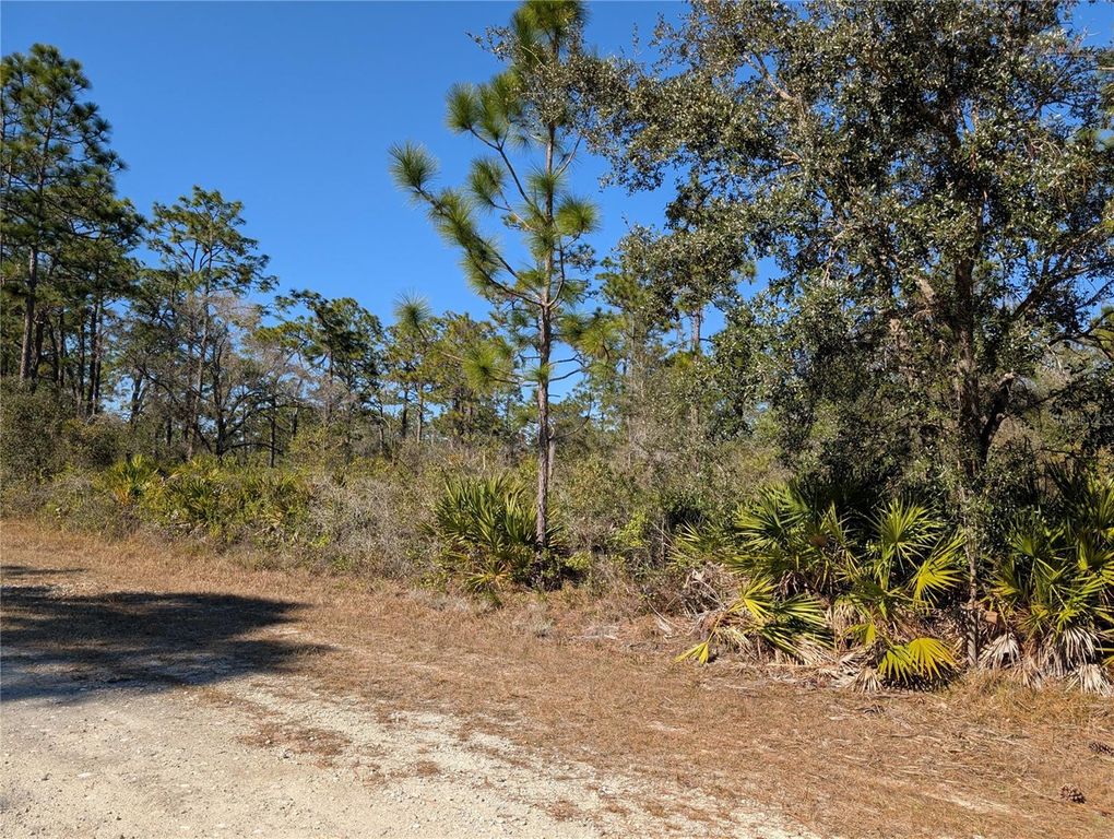 Image 2 of property listing at 612 MAGNOLIA DRIVE, Indian Lake Estates, FL 33855