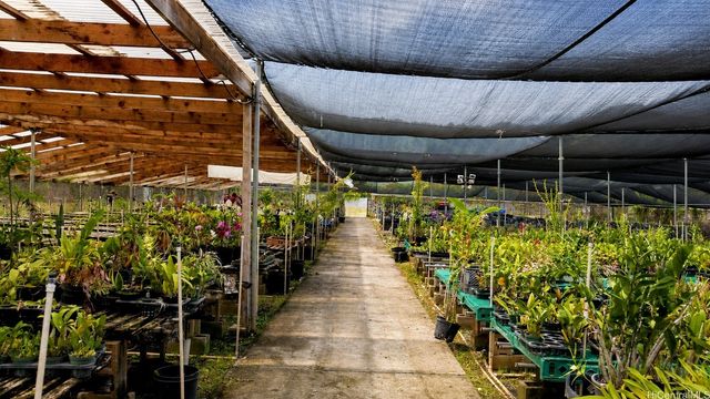 86-116 Puhawai Road A, Waianae, HI 96792