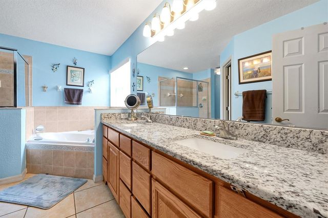 816 KNIGHTSBRIDGE CIRCLE, Davenport, FL 33896
