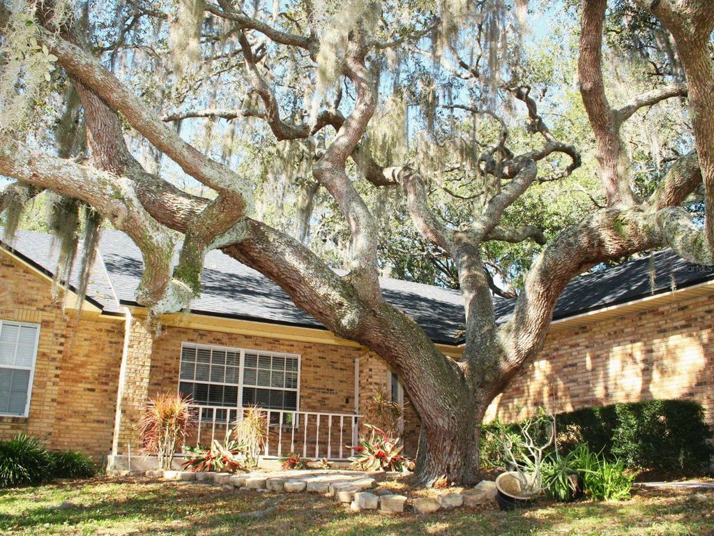 Image 3 of property listing at 130 WOOD RIDGE TRAIL, Sanford, FL 32771